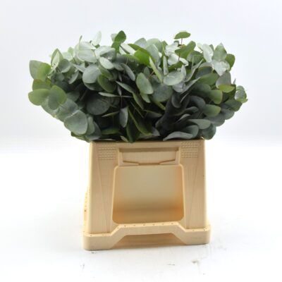 Image for choice number 6