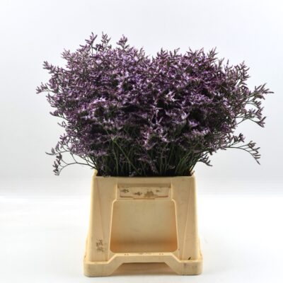 Image for choice number 2